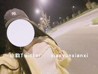 Karya oleh ahli Xiaoyun Fairy