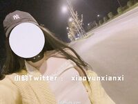 Karya oleh ahli Xiaoyun Fairy