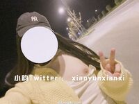 Karya oleh ahli Xiaoyun Fairy