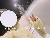 Karya oleh ahli Xiaoyun Fairy