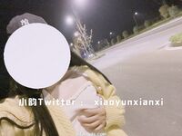 Karya oleh ahli Xiaoyun Fairy