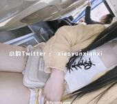 Karya oleh ahli Xiaoyun Fairy