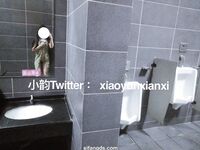 Karya oleh ahli Xiaoyun Fairy