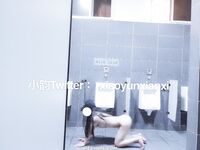 Karya oleh ahli Xiaoyun Fairy