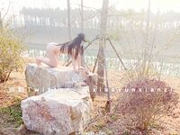 Karya oleh ahli Xiaoyun Fairy