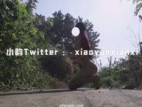 Karya oleh ahli Xiaoyun Fairy