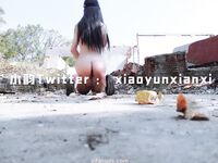 Karya oleh ahli Xiaoyun Fairy