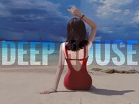 deephouse 作品合集