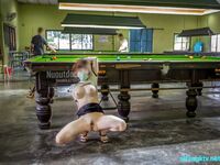 outdoor (HLA7307Y) 視圖圖片