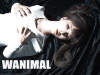 蠢沫沫最近流出《作品》WANIMAL