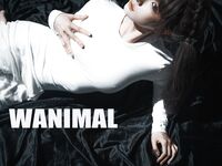 蠢沫沫最近流出《作品》WANIMAL