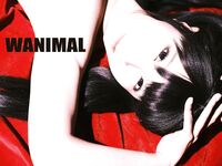 蠢沫沫最近流出《作品》WANIMAL