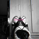 露臉才是王道！推特高顏極品身材治癒系女神【小熊駕駛員】電報群內福利~能肏能調教能露出很好玩很反差