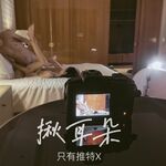 Dewi terkemuka yang kelihatan bintang "menarik telinganya" dipenuhi dengan ayam jantan besar seorang lelaki, yang dilincirkan dan basah, dan farajnya dilincirkan dan hangat daripada orang luar, dewi itu diam-diam seorang jalang yang perlu disetu