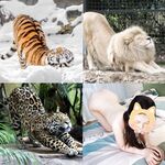 Dewi terkemuka yang kelihatan bintang "menarik telinganya" dipenuhi dengan ayam jantan besar seorang lelaki, yang dilincirkan dan basah, dan farajnya dilincirkan dan hangat daripada orang luar, dewi itu diam-diam seorang jalang yang perlu disetu