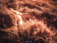 超级巨乳J杯罩甜甜大尺度私拍与摄影师啪啪