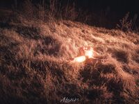 超级巨乳J杯罩甜甜大尺度私拍与摄影师啪啪