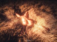 超级巨乳J杯罩甜甜大尺度私拍与摄影师啪啪