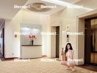 最新7月無水福利！推特優質情侶【mympet】女主身材一流，喜歡挑戰各種難度人前露出，聖水遛狗調教啪啪