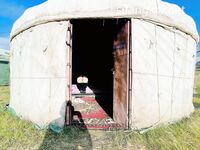 爆乳翘臀女神小可爱露出性爱野战啪啪