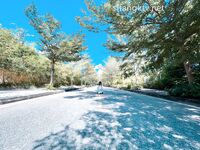 爆乳翘臀女神小可爱露出性爱野战啪啪