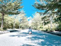 爆乳翘臀女神小可爱露出性爱野战啪啪