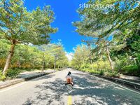 爆乳翘臀女神小可爱露出性爱野战啪啪