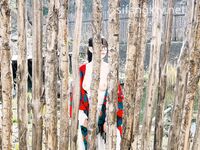 爆乳翘臀女神小可爱露出性爱野战啪啪