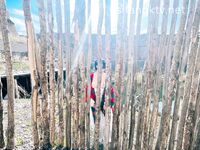 爆乳翘臀女神小可爱露出性爱野战啪啪