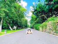 爆乳翘臀女神小可爱露出性爱野战啪啪