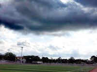 最新7月無水首發福利！推特極品OL風氣質御姐【Jeff_Jarvis】紫薇露出啪啪記錄，浴室貼門後入奶子都壓變形了