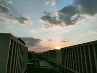 最新7月無水首發福利！推特極品OL風氣質御姐【Jeff_Jarvis】紫薇露出啪啪記錄，浴室貼門後入奶子都壓變形了