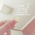 白嫩清纯小萝莉『九尾猫』