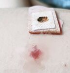 白嫩清纯小萝莉『九尾猫』