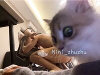 The humanoid little bitch loli "Sweet Temptation Sauce" is a delicate school beauty who is used as a cock condom by her big cock father. The bitch is a meat toilet for the big cock to use casually.