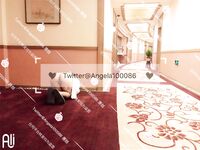 =超嫩極品可愛小母狗『安琪拉』 看似清純的雙馬尾小蘿莉，其實是個渴望被爸爸大雞巴灌滿騷穴的反差婊小母狗