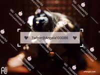 =超嫩極品可愛小母狗『安琪拉』 看似清純的雙馬尾小蘿莉，其實是個渴望被爸爸大雞巴灌滿騷穴的反差婊小母狗