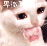 推特福利姬【渝渝醬】私拍，紫薇啪啪，這大奶大屁股玩到虛脫