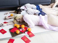 말레이시아의 슈퍼 인기 인터넷 연예인 e 스포츠 여신 "mspuiyi"OF는 얼굴과 폭발적인 몸매와 음란 한 릴리가 누워있는 모델로 대규모 개인 사진 촬영을했습니다.