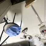 귀여운 인간형 암캐 "나 하나야, 하하" 그녀의 작은 보지가 또 아빠의 정액으로 가득 차 있어요 ~ 매우 대조되는 소녀.