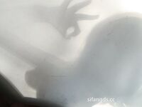 Koleksi hebat pelajar kolej wanita berusia 19 tahun dengan payudara super besar [Dewa Payudara Xiao Wen], saksikan lebih banyak payudaranya semakin pening! ! Salah satu payudara besar terbaik di Internet mesti telah membesar dengan minum santan