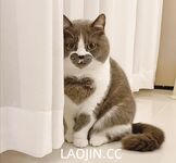 2024年，坐标成都，高颜值夫妻【鹿头LuTo-夫妻】白富美少奶奶喜欢换妻，皮肤白腰细还是个馒头逼，绝品必看