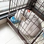 2024年，坐标成都，高颜值夫妻【鹿头LuTo-夫妻】白富美少奶奶喜欢换妻，皮肤白腰细还是个馒头逼，绝品必看