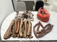 2024年，坐标成都，高颜值夫妻【鹿头LuTo-夫妻】白富美少奶奶喜欢换妻，皮肤白腰细还是个馒头逼，绝品必看