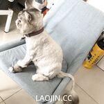 2024年，坐标成都，高颜值夫妻【鹿头LuTo-夫妻】白富美少奶奶喜欢换妻，皮肤白腰细还是个馒头逼，绝品必看