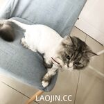 2024年，坐标成都，高颜值夫妻【鹿头LuTo-夫妻】白富美少奶奶喜欢换妻，皮肤白腰细还是个馒头逼，绝品必看