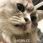 2024年，坐标成都，高颜值夫妻【鹿头LuTo-夫妻】白富美少奶奶喜欢换妻，皮肤白腰细还是个馒头逼，绝品必看