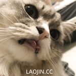 2024年，坐标成都，高颜值夫妻【鹿头LuTo-夫妻】白富美少奶奶喜欢换妻，皮肤白腰细还是个馒头逼，绝品必看