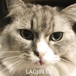 2024年，坐标成都，高颜值夫妻【鹿头LuTo-夫妻】白富美少奶奶喜欢换妻，皮肤白腰细还是个馒头逼，绝品必看