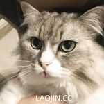 2024年，坐标成都，高颜值夫妻【鹿头LuTo-夫妻】白富美少奶奶喜欢换妻，皮肤白腰细还是个馒头逼，绝品必看